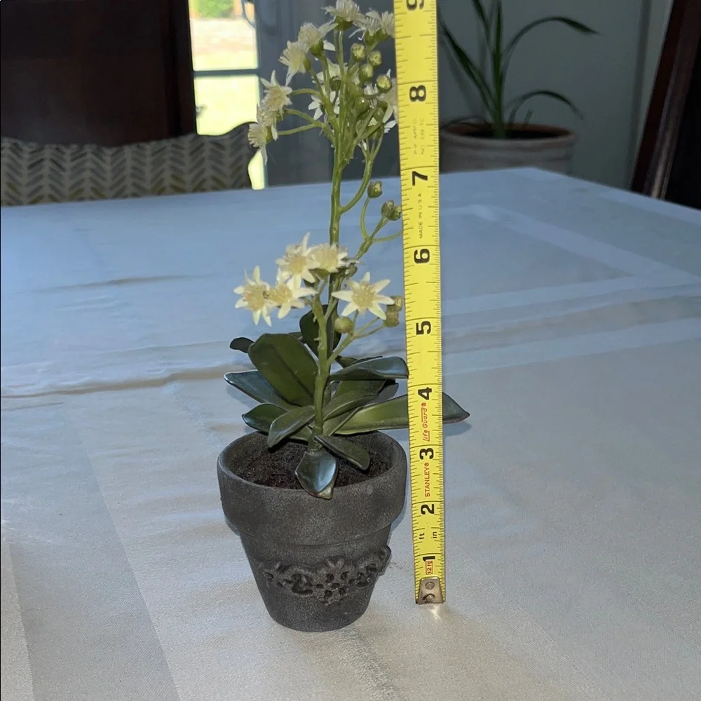 Bella Lux Bathroom Accessories Set Of Two Silver Tumbler Plus A Planter